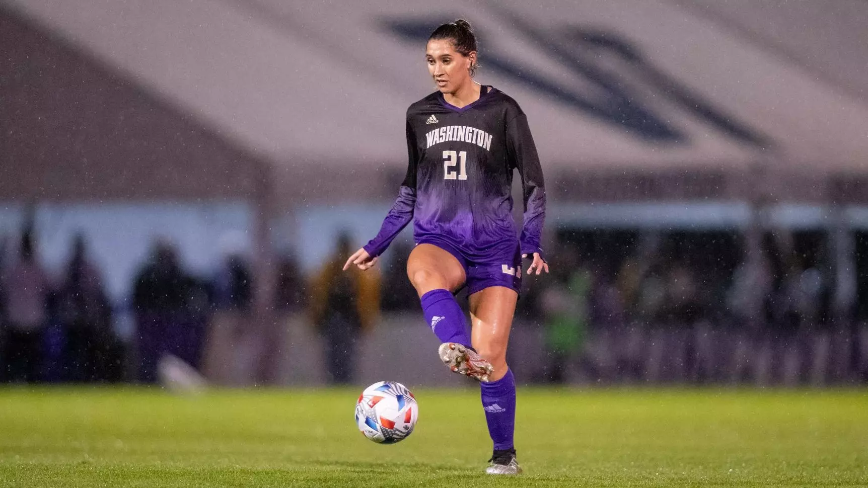 不懈努力 不懈努力