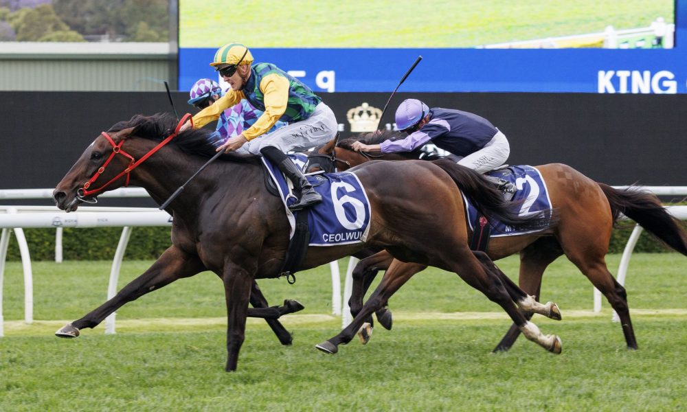 的比赛提供 的比赛提供